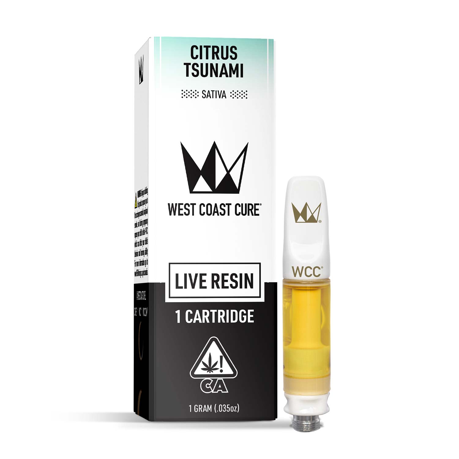 Potential tsunami west coast