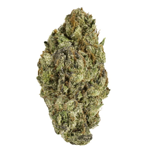 Gelato 33