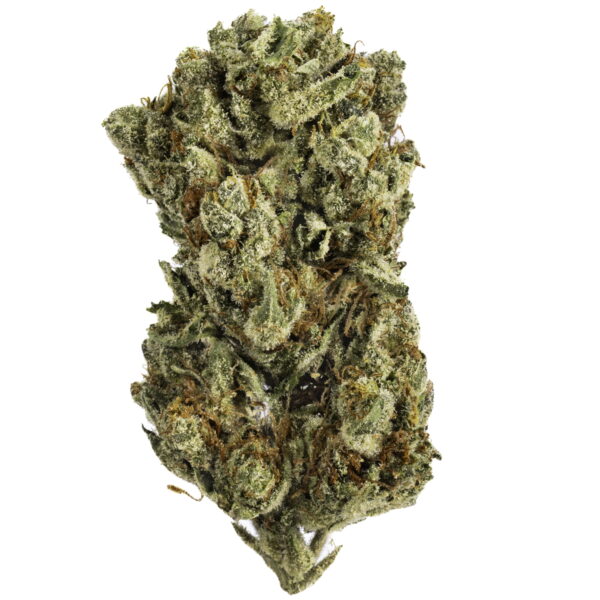 Guava Gelato