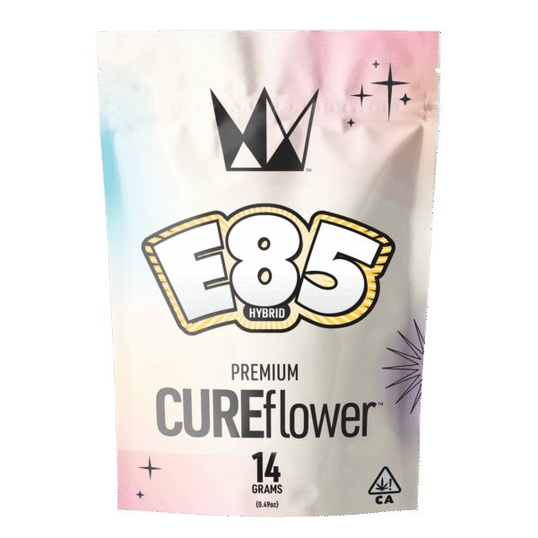 E85