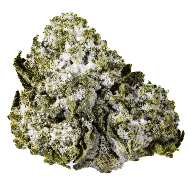 Jokerz Gelato