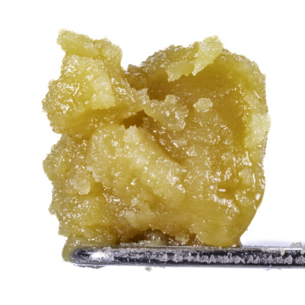 Sweet Tangie