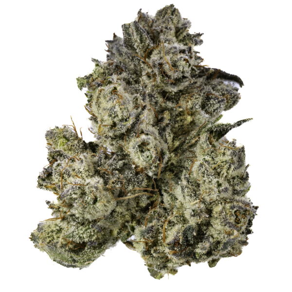 Gorilla Grip #4